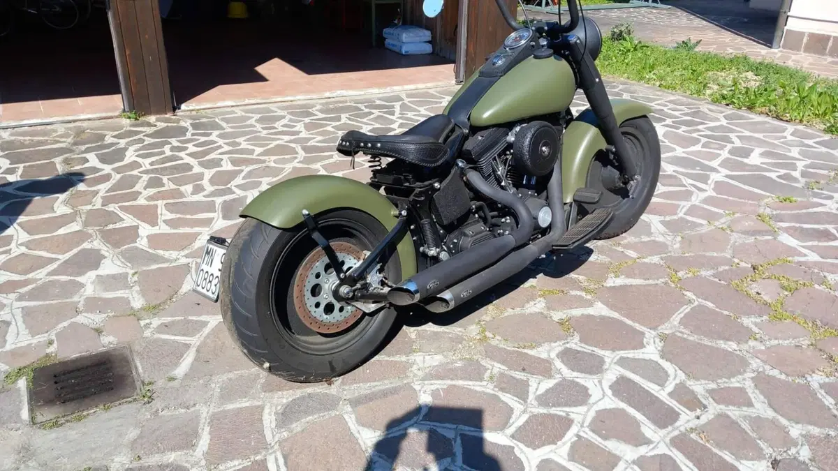Harley-Davidson   (2)