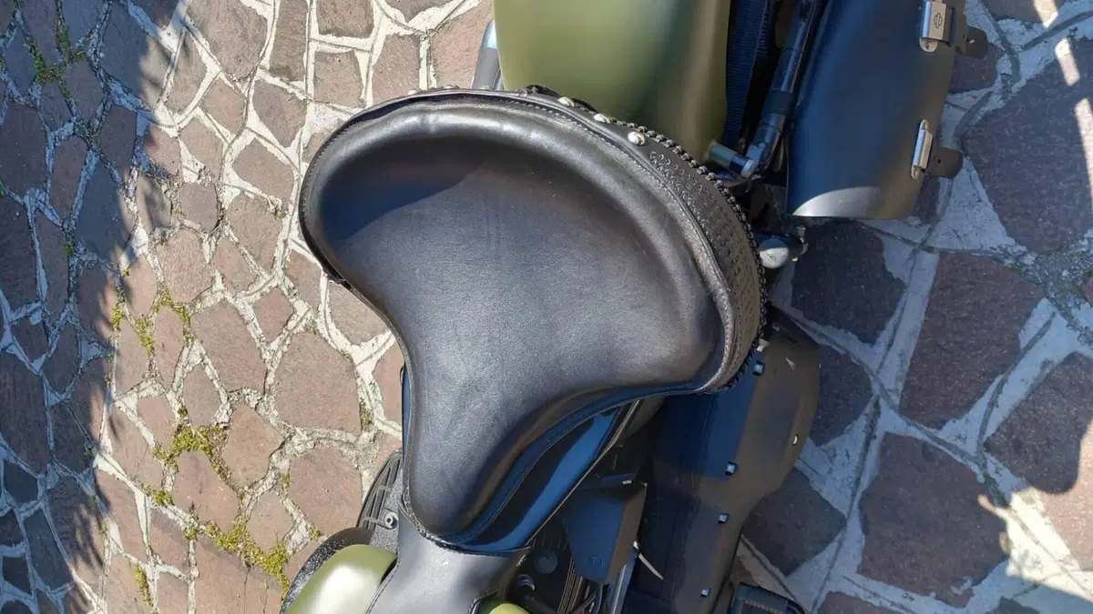 Harley-Davidson   (3)