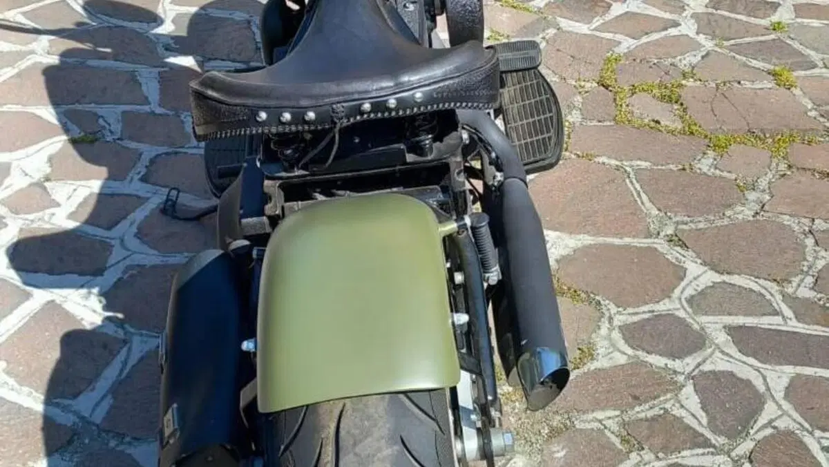 Harley-Davidson   (9)