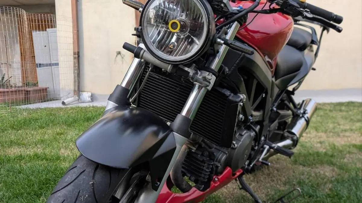 Suzuki SV 1000  (2)