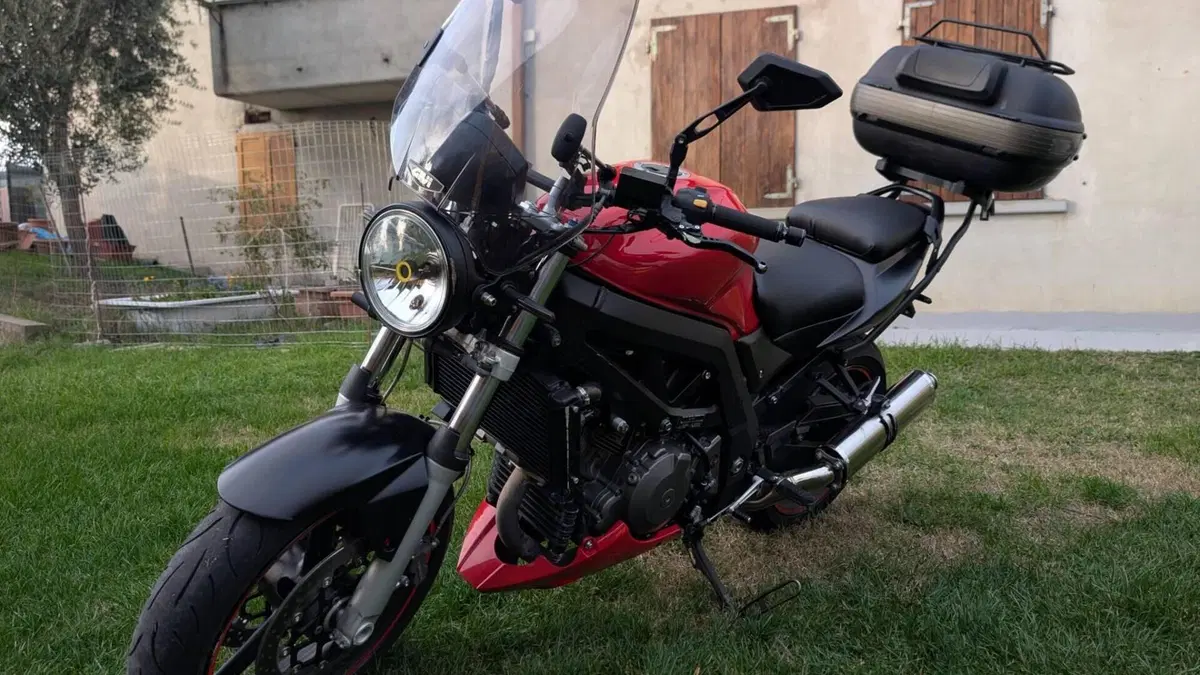 Suzuki SV 1000  (7)