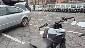 KTM 790 Duke L (2023 - 24)  (3)