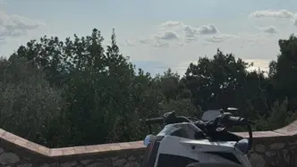 KTM 790 Duke L (2023 - 24) usata
