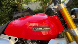 Fantic Motor Caballero 250 Scrambler 4T (2018 - 21)  (10)