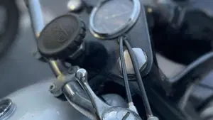 Norton   (6)