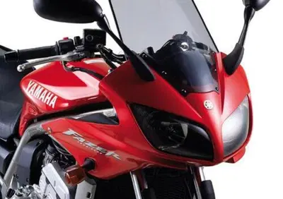 GIVI D129S Cupolino specifico fumè 43 x 33 cm - Annuncio 8986566