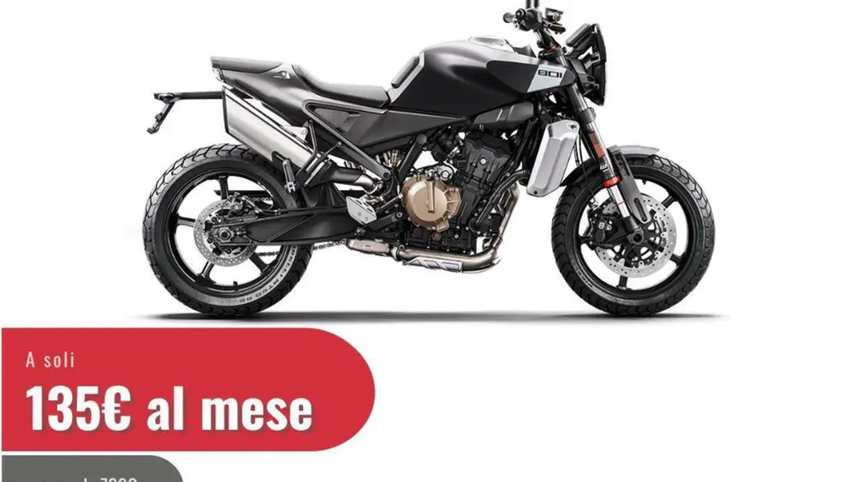 Husqvarna Svartpilen 801 (2024 - 26)  (2)