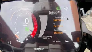 Triumph Tiger 1200 GT Pro (2024 - 26)  (3)