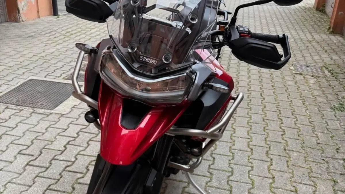 Triumph Tiger 1200 GT Pro (2024 - 26)  (13)