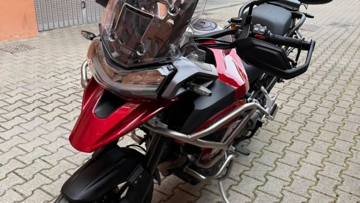 Triumph Tiger 1200 GT Pro (2024 - 26)  (14)