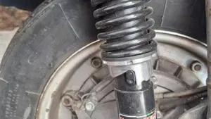Piaggio   (6)