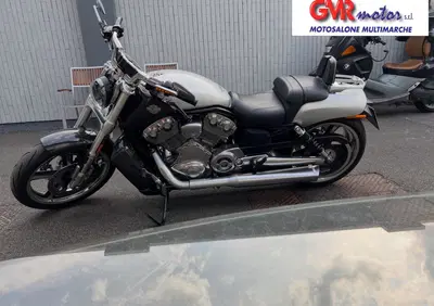 Harley-Davidson 1250 V-Rod Muscle (2009 - 17) - VRSCF - Annuncio 10000596