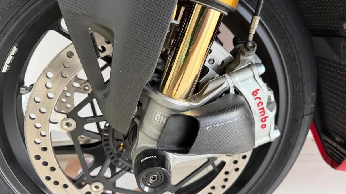 Ducati Panigale V4 S (2022 - 24)  (9)