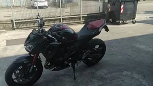 Kawasaki Z 800 Sugomi Edition ABS (2016)  (6)