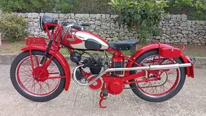 Benelli   (4)