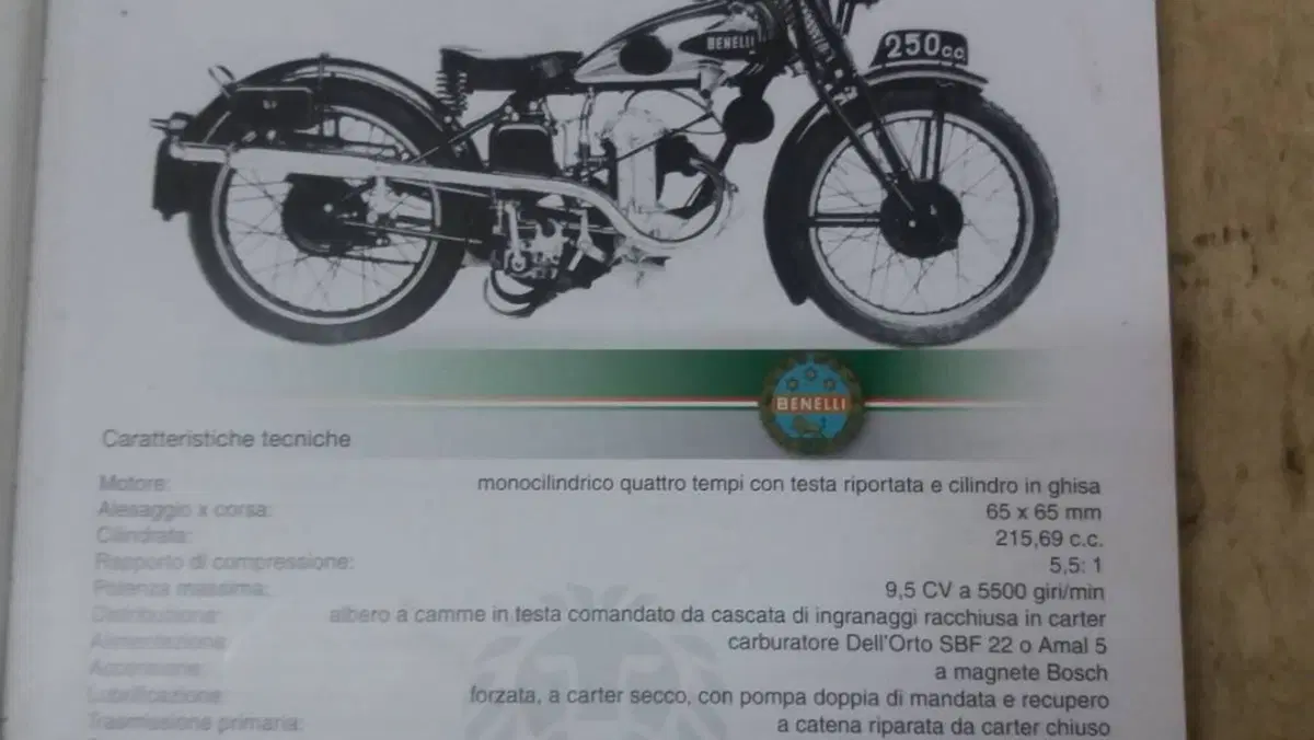 Benelli   (7)