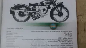 Benelli   (7)