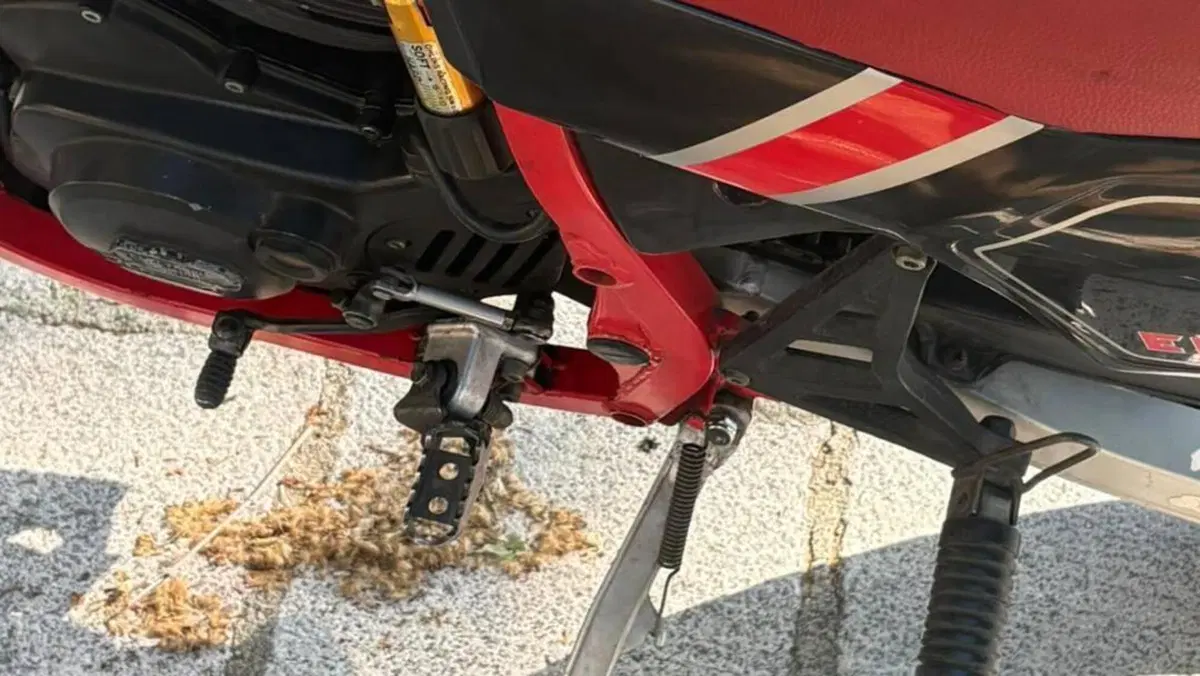 Cagiva   (3)