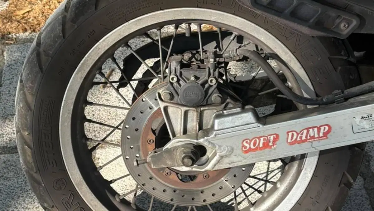 Cagiva   (19)