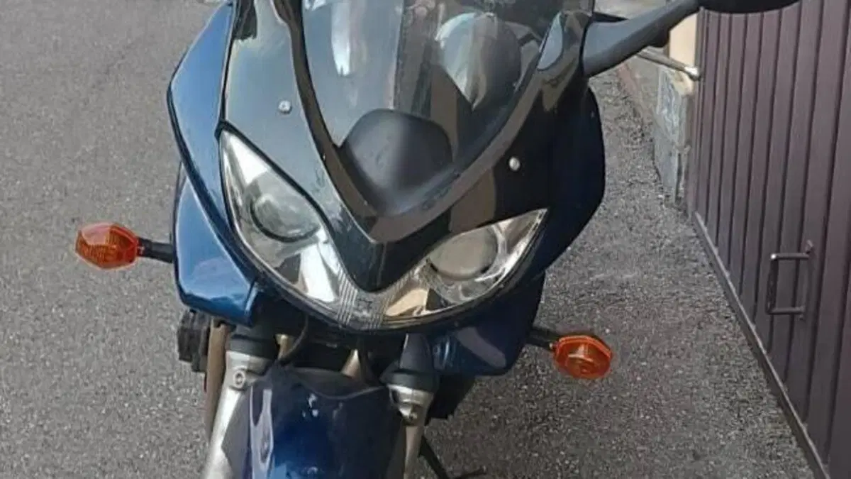 Suzuki   (2)