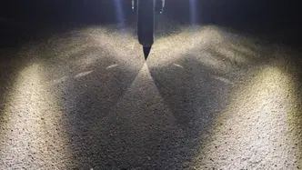 Honda Integra 750 DCT Sport (2017) usata