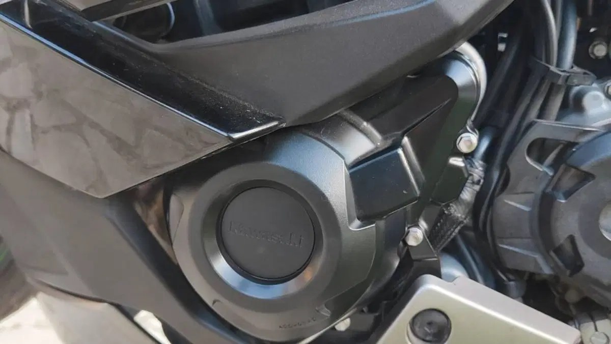 Kawasaki Ninja 1000 SX (2020)  (4)