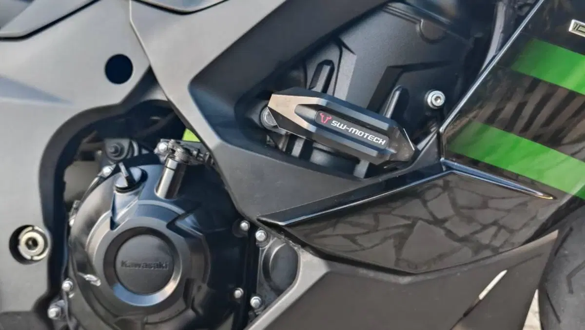 Kawasaki Ninja 1000 SX (2020)  (5)