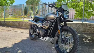 Triumph Street Scrambler 900 Sandstorm (2021 - 22) 