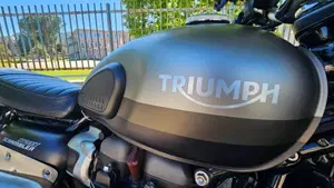 Triumph Street Scrambler 900 Sandstorm (2021 - 22)  (6)