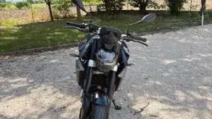 Bmw F 900 R (2021 - 24)  (3)
