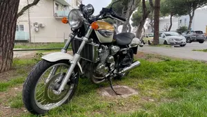 Triumph   (5)