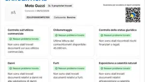 Moto Guzzi Breva V 1100 i.e.  (9)