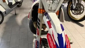 KTM 300 EXC E TPI (2019)  (8)