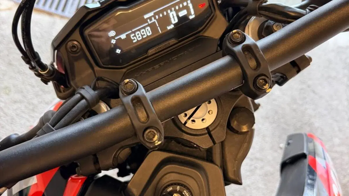 Ducati Hypermotard 698 Mono RVE (2024 - 26)  (6)