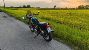 Royal Enfield Continental 500 GT (2014 - 16)  (4)