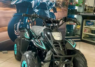  Altre moto o tipologie Quad - Annuncio 10002033