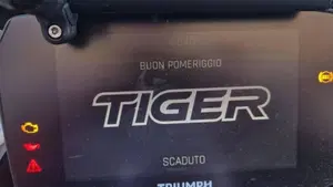 Triumph Tiger 900 GT Pro (2020 - 23)  (5)