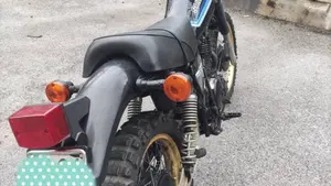 Suzuki   (4)