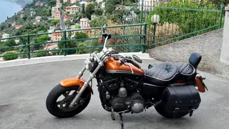 Harley-Davidson 1200 Custom ABS (2014 - 16) - XL 1200C usata