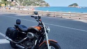Harley-Davidson 1200 Custom ABS (2014 - 16) - XL 1200C  (2)