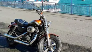 Harley-Davidson 1200 Custom ABS (2014 - 16) - XL 1200C  (3)