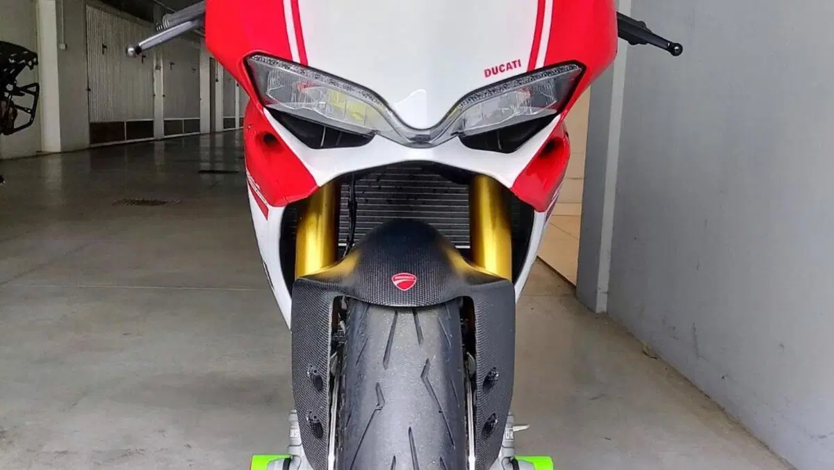 Ducati 1299 Panigale S Anniversario (2016)  (3)