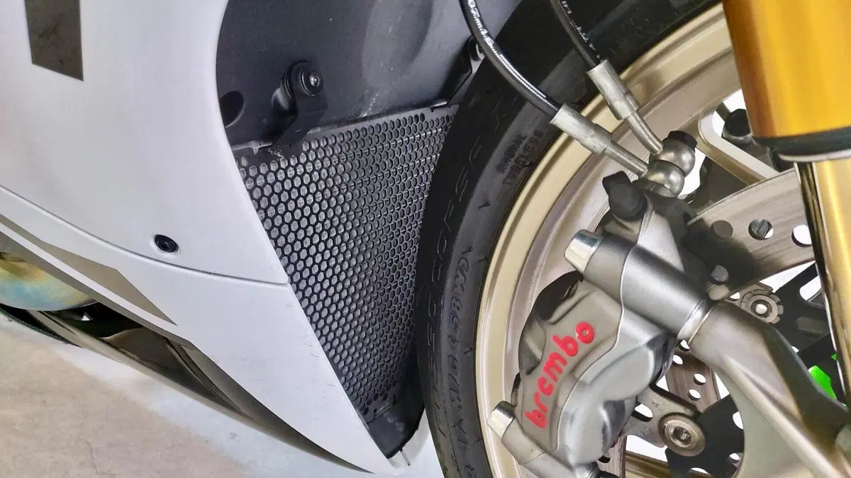 Ducati 1299 Panigale S Anniversario (2016)  (11)