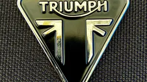 Triumph Tiger 900 GT Pro (2020 - 23)  (4)