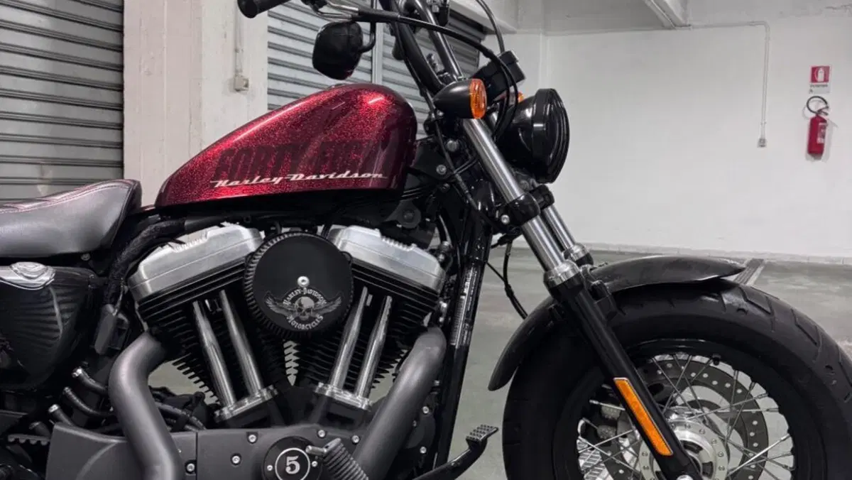 Harley-Davidson 1200 Forty-Eight (2010 - 15)  (2)