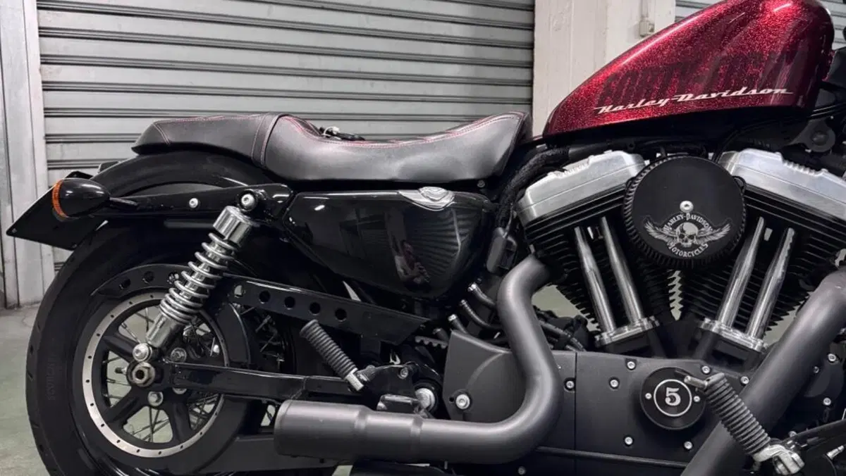 Harley-Davidson 1200 Forty-Eight (2010 - 15)  (3)