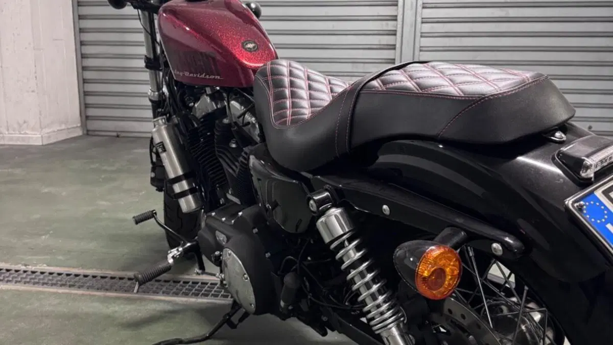 Harley-Davidson 1200 Forty-Eight (2010 - 15)  (4)