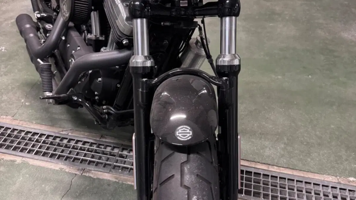 Harley-Davidson 1200 Forty-Eight (2010 - 15)  (6)