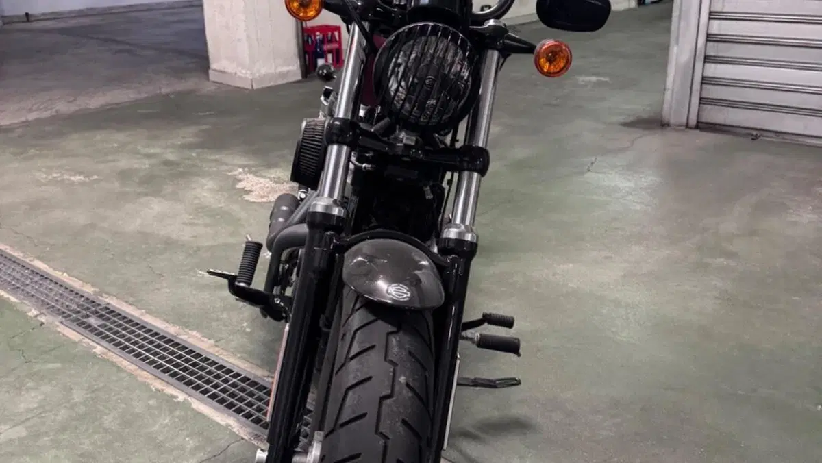 Harley-Davidson 1200 Forty-Eight (2010 - 15)  (7)