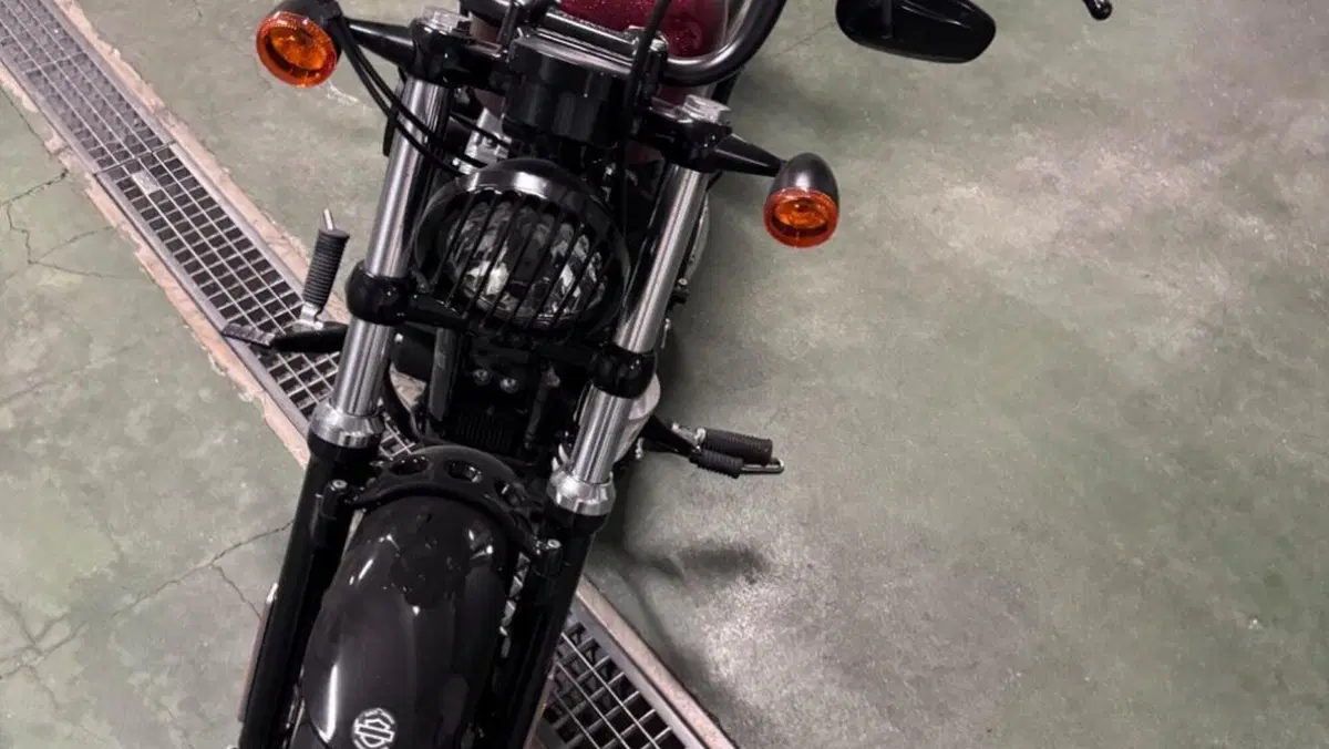 Harley-Davidson 1200 Forty-Eight (2010 - 15)  (8)